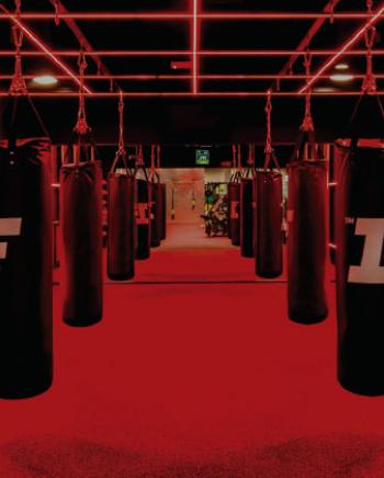 FGD-NO(WebPageBanner)