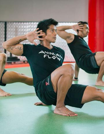 fitness-first-group-class-fitness-first-group-class-animal-flow-cti-thumbnail