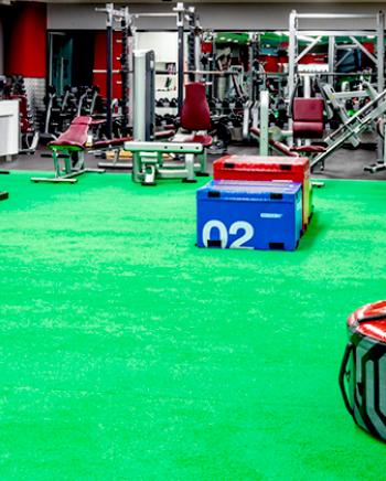 ff_mma-(hpb)-fitness-first