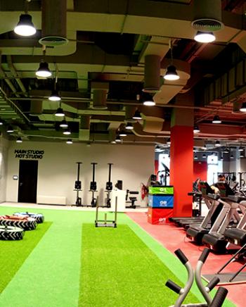 ff_SES-(hpb)-fitness-first