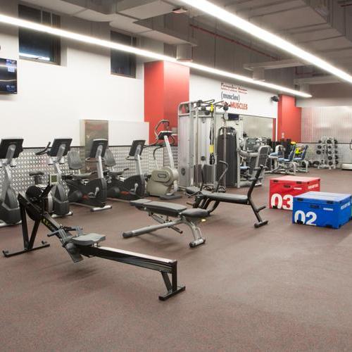 Mirdif City Center Mixed Gym in Dubai Fitness First UAE