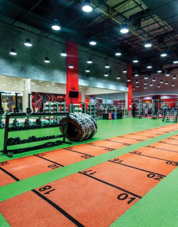 FFGD-Web-USP-Freestyle