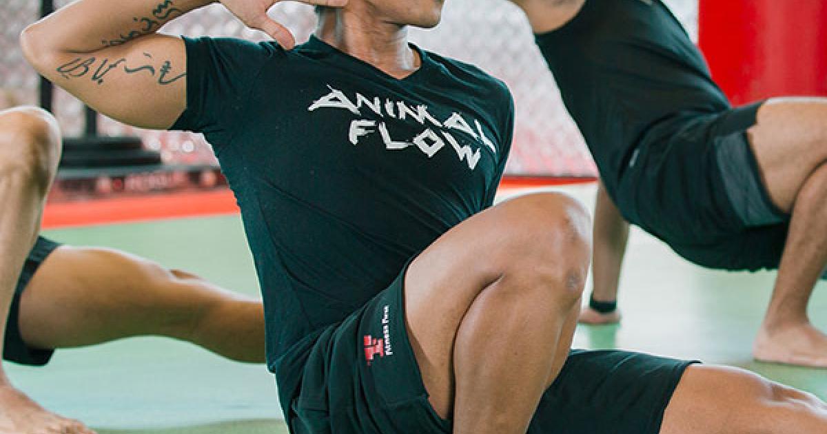 Animal Flow Class and Training | Fitness First UAE